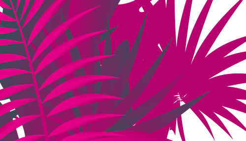 palm frond